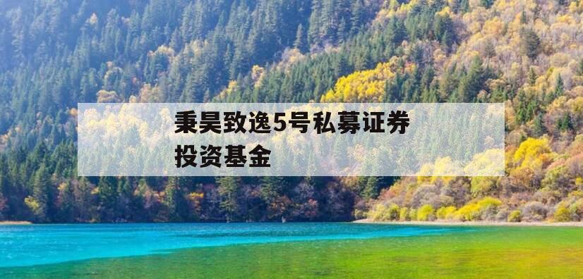 秉昊致逸5号私募证券投资基金