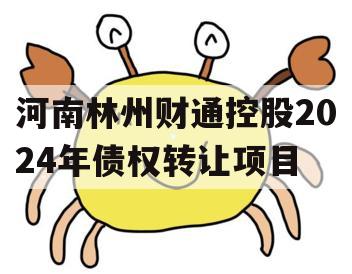 河南林州财通控股2024年债权转让项目