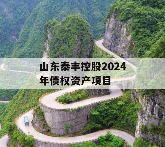 山东泰丰控股2024年债权资产项目