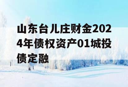 山东台儿庄财金2024年债权资产01城投债定融