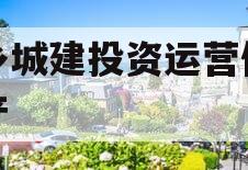 金乡城建投资运营债权资产