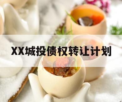 XX城投债权转让计划