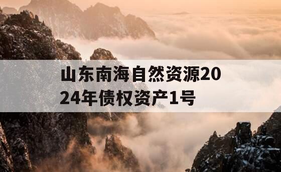 山东南海自然资源2024年债权资产1号