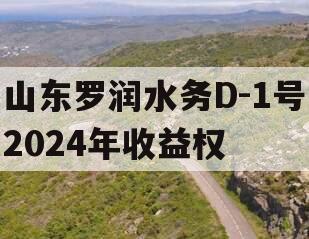 山东罗润水务D-1号2024年收益权