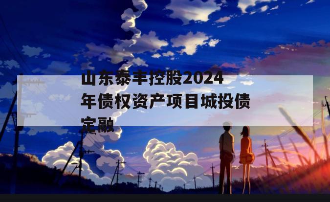 山东泰丰控股2024年债权资产项目城投债定融