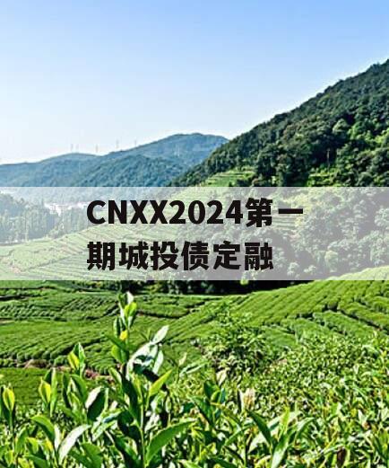 CNXX2024第一期城投债定融