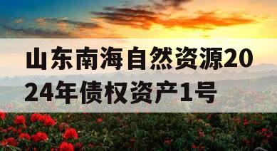 山东南海自然资源2024年债权资产1号