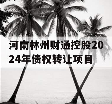 河南林州财通控股2024年债权转让项目