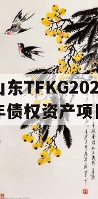 山东TFKG2024年债权资产项目