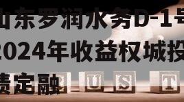 山东罗润水务D-1号2024年收益权城投债定融