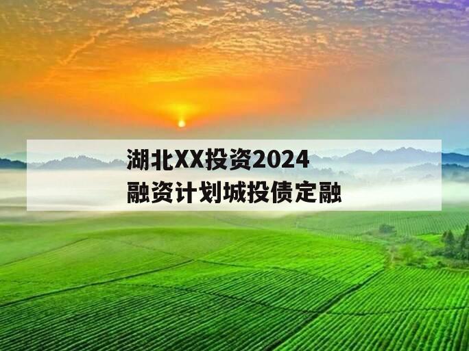 湖北XX投资2024融资计划城投债定融