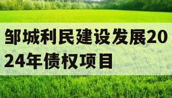 邹城利民建设发展2024年债权项目