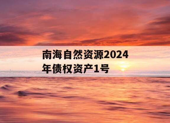 南海自然资源2024年债权资产1号