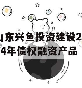 山东兴鱼投资建设2024年债权融资产品