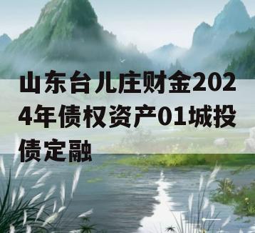 山东台儿庄财金2024年债权资产01城投债定融