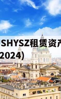 JSHYSZ租赁资产(2024)