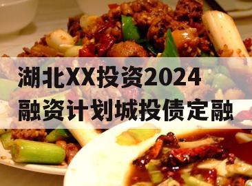 湖北XX投资2024融资计划城投债定融