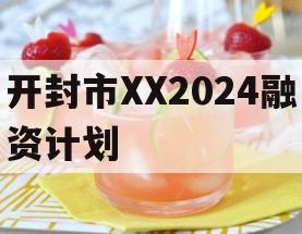 开封市XX2024融资计划