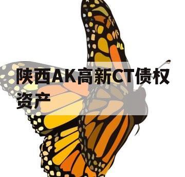 陕西AK高新CT债权资产