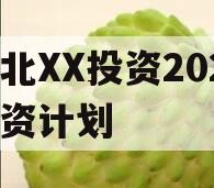 湖北XX投资2024融资计划