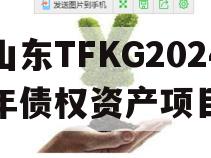 山东TFKG2024年债权资产项目