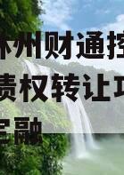 河南林州财通控股2024年债权转让项目城投债定融