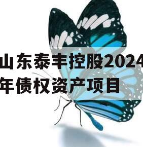 山东泰丰控股2024年债权资产项目