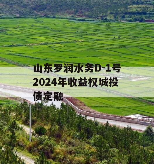 山东罗润水务D-1号2024年收益权城投债定融