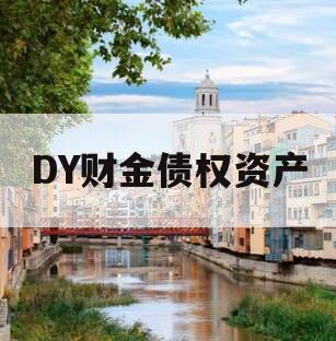 DY财金债权资产