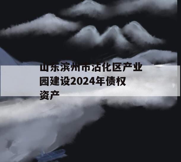 山东滨州市沾化区产业园建设2024年债权资产