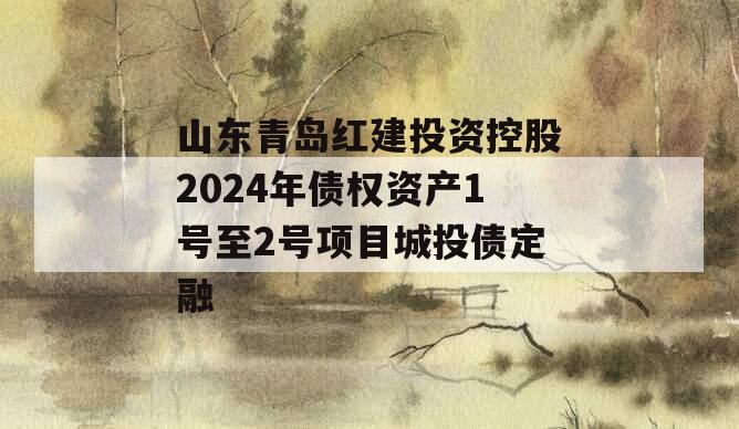 山东青岛红建投资控股2024年债权资产1号至2号项目城投债定融