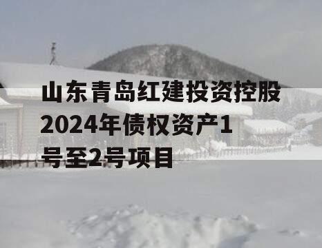 山东青岛红建投资控股2024年债权资产1号至2号项目