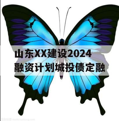 山东XX建设2024融资计划城投债定融