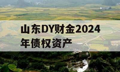 山东DY财金2024年债权资产