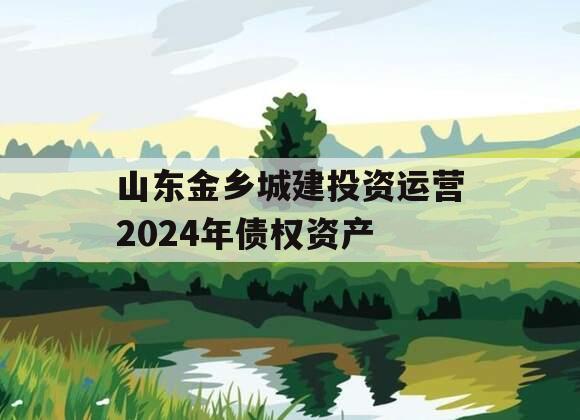 山东金乡城建投资运营2024年债权资产