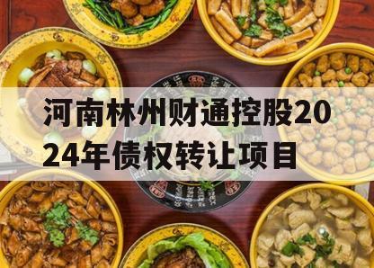 河南林州财通控股2024年债权转让项目