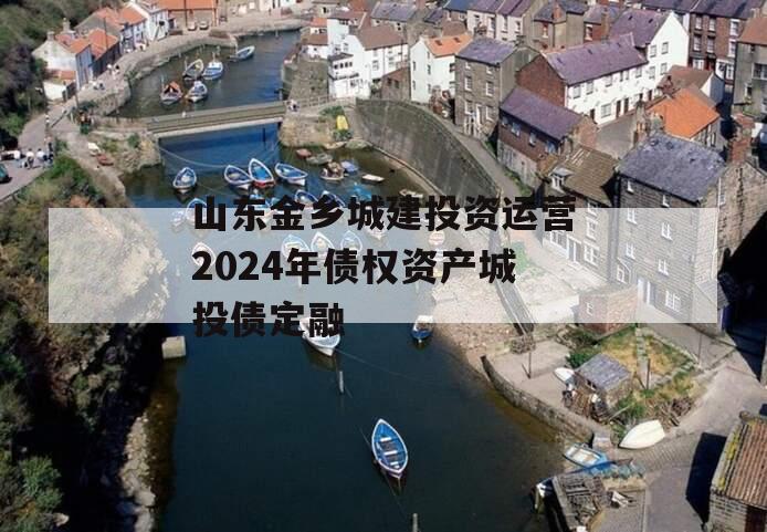 山东金乡城建投资运营2024年债权资产城投债定融