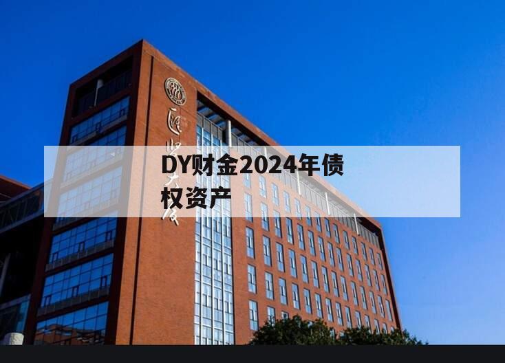 DY财金2024年债权资产