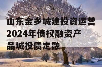 山东金乡城建投资运营2024年债权融资产品城投债定融