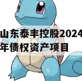 山东泰丰控股2024年债权资产项目