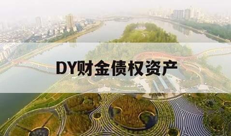 DY财金债权资产