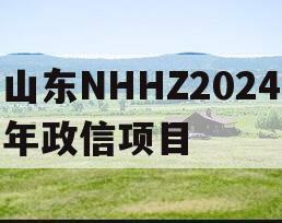 山东NHHZ2024年政信项目