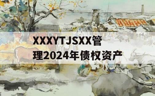 XXXYTJSXX管理2024年债权资产