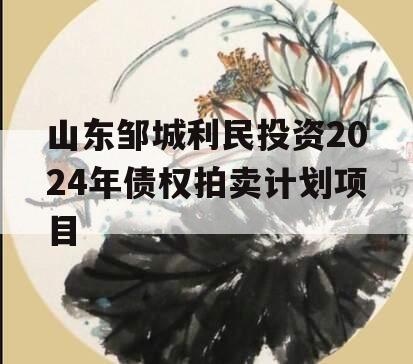 山东邹城利民投资2024年债权拍卖计划项目