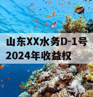 山东XX水务D-1号2024年收益权