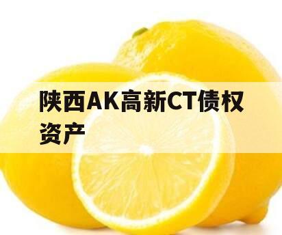 陕西AK高新CT债权资产