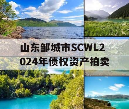 山东邹城市SCWL2024年债权资产拍卖