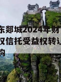 山东郯城2024年财产权信托受益权转让及回购