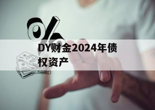 DY财金2024年债权资产