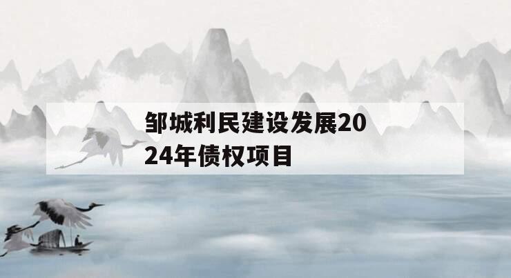 邹城利民建设发展2024年债权项目